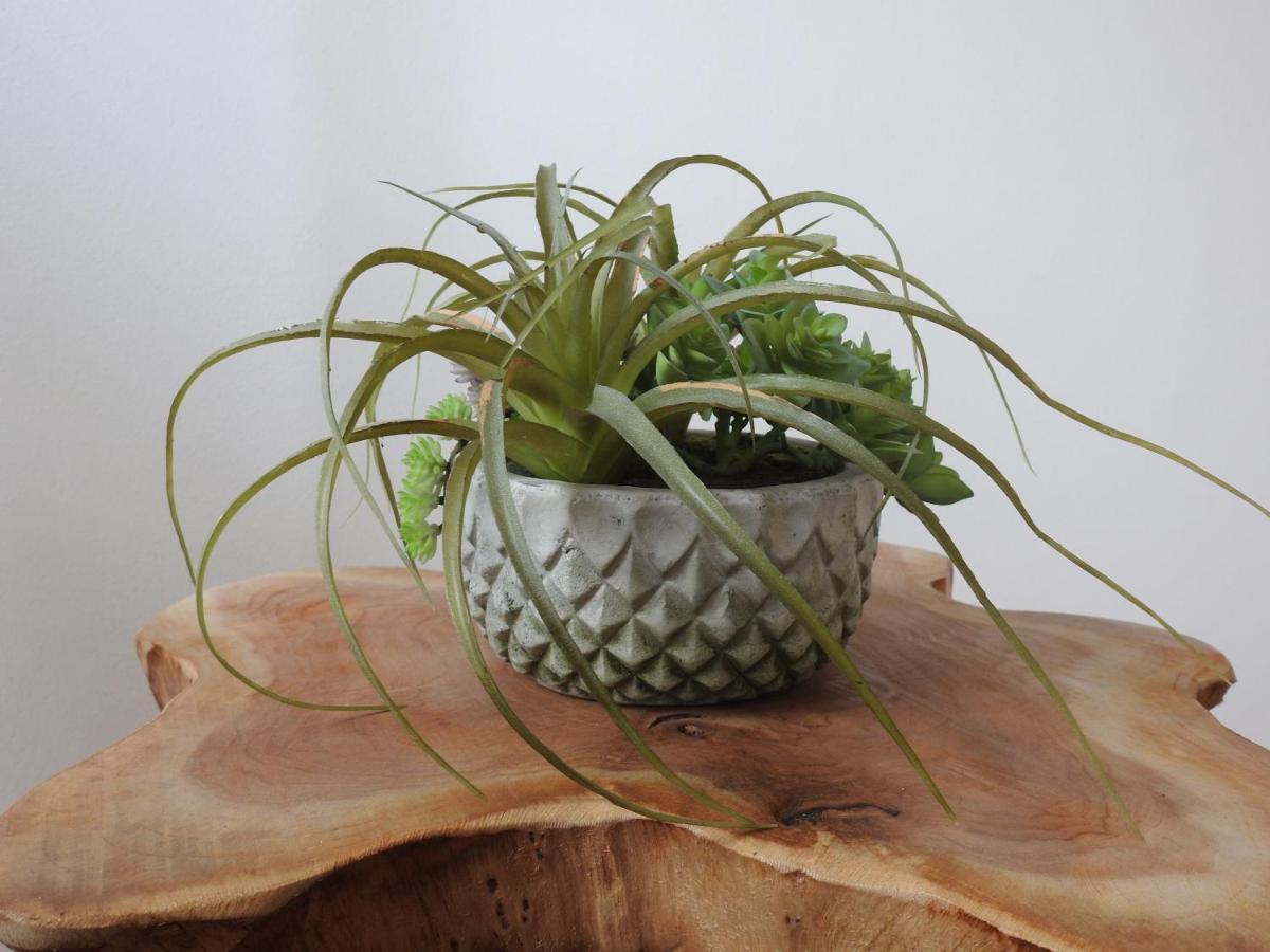 Apartment Haus Lagune *