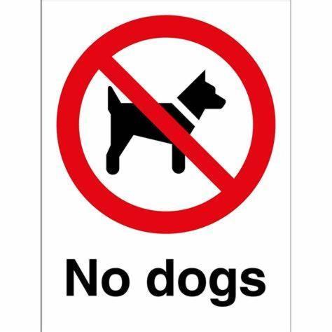 Haus Lagune Apartment *